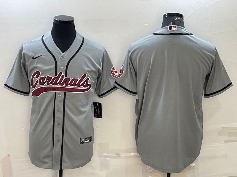 Men Arizona Cardinals Blank Grey 2022 Nike Co branded NFL Jersey->arizona cardinals->NFL Jersey